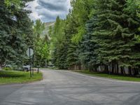 an empty street lined with trees and a mountain range in the distance in the back