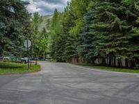 an empty street lined with trees and a mountain range in the distance in the back