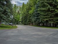 an empty street lined with trees and a mountain range in the distance in the back