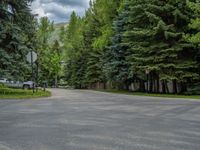 an empty street lined with trees and a mountain range in the distance in the back