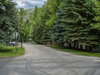 an empty street lined with trees and a mountain range in the distance in the back