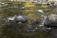 rocks on the water are seen with the light shining in the background below them on the ground