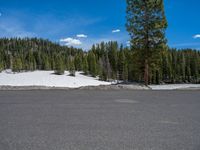 Colorado, USA: Winter Landscape with Snowy Road