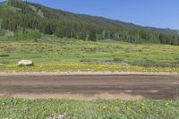 motorcycle rides along a dirt road in front of grassy hills and flowers, with a mountain behind