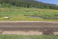 motorcycle rides along a dirt road in front of grassy hills and flowers, with a mountain behind