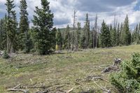 Colorado Wilderness Landscape Offroad Adventure