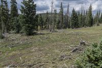 Colorado Wilderness Landscape Offroad Adventure