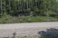 Colorado Wilderness: Low Dirt Road 001