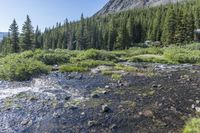 Colorado Wilderness Mountain Road and Lake 002