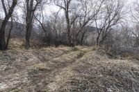 Exploring Colorado Wilderness: Road Dirt Trail