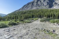 Colorado Wilderness: Rocky Cliffs Landscape 001