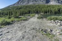 Colorado Wilderness: Rocky Cliffs Landscape