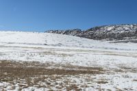 Colorado Winter Day: Denver Mountain Landscape