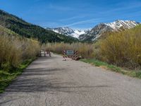 an open gate sits behind a warning sign on the side of the road that's blocked off