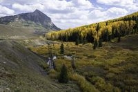 Colorado's Mountain Landscape: An Aerial View