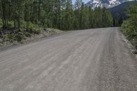 Colorado's Mountain Landscape: A Dirt Road Through Nature