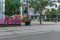 a bench is painted in pink and purple in the middle of an empty city street