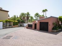 an driveway of many colors that is bordered by palm trees and brick tiles, and some small plants in front of the garage