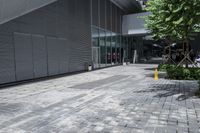 Concrete and Asphalt: Building a Modern Home