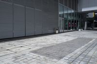 Concrete and Asphalt: Building a Modern Home