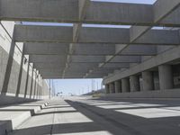 a concrete bridge over looking a city area, with large columns underneath the bridge and an open walkway on either side