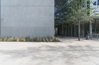 large concrete building with plants and bushes in the sidewalk near it by the sidewalk level