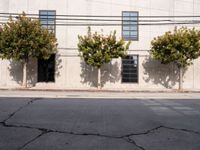 Concrete Jungle of Los Angeles: A Road Under Clear Skies