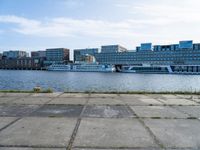 a concrete parking lot near an open marina, with tall buildings in the distance and a dog standing by it