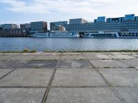 a concrete parking lot near an open marina, with tall buildings in the distance and a dog standing by it