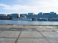 a concrete parking lot near an open marina, with tall buildings in the distance and a dog standing by it