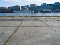 a concrete parking lot near an open marina, with tall buildings in the distance and a dog standing by it