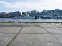 a concrete parking lot near an open marina, with tall buildings in the distance and a dog standing by it