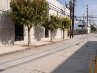 Concrete Paths Under Clear Skies: Los Angeles