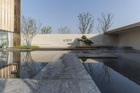 the reflection of a tree is seen in water next to the building facade and a fountain