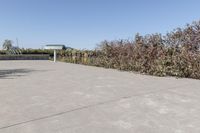 Concrete Road in Suburban Ontario