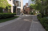 Concrete Street in a Toronto Neighbourhood