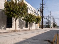 Concrete Walls Lining California Roads