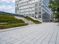 an outdoor park with steps leading to the office buildings and green plants in between them