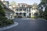a driveway is lined with a driveway leading to an enormous house with black shuttered windows
