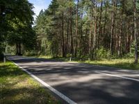 a narrow and empty country road with pine trees on either side of it and blue sky overhead