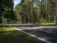 a narrow and empty country road with pine trees on either side of it and blue sky overhead