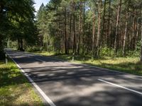 a narrow and empty country road with pine trees on either side of it and blue sky overhead