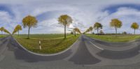 a wide angle view of a country road with many trees on either side and one being curved in front of it