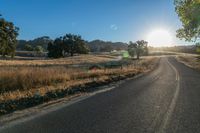 the sun shines over a country road in the countryside near tall grass and trees