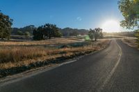 the sun shines over a country road in the countryside near tall grass and trees