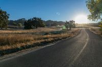 the sun shines over a country road in the countryside near tall grass and trees