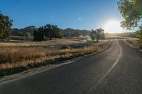 the sun shines over a country road in the countryside near tall grass and trees