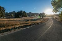 the sun shines over a country road in the countryside near tall grass and trees