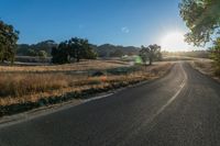 the sun shines over a country road in the countryside near tall grass and trees