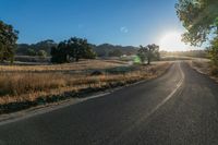 the sun shines over a country road in the countryside near tall grass and trees